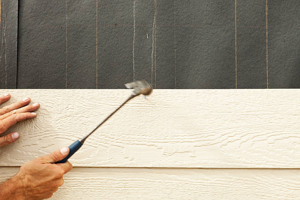 Best Engineered Wood Siding  in Falling Waters, WV